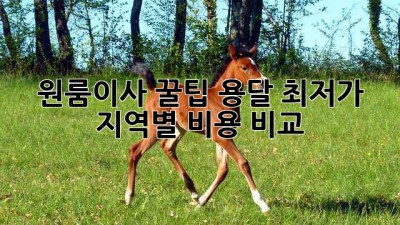 원룸이사 꿀팁🍯 용달 최저가 & 지역별 비용 비교!